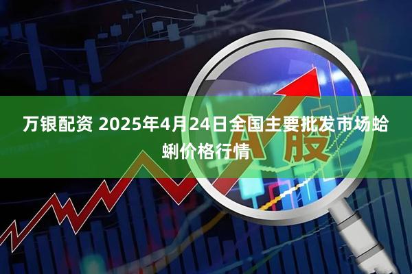 万银配资 2025年4月24日全国主要批发市场蛤蜊价格行情