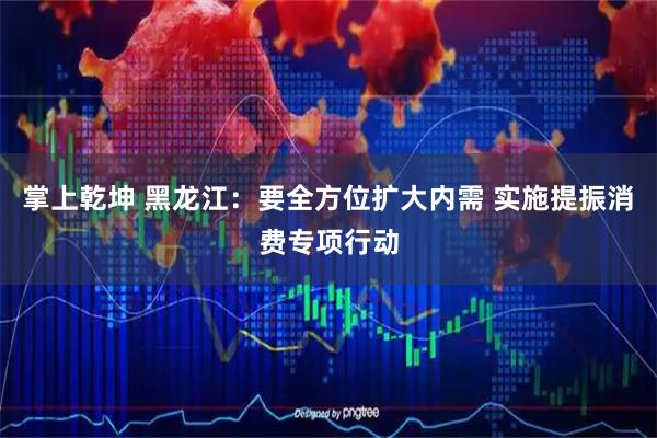 掌上乾坤 黑龙江：要全方位扩大内需 实施提振消费专项行动