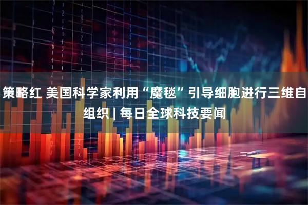 策略红 美国科学家利用“魔毯”引导细胞进行三维自组织 | 每日全球科技要闻