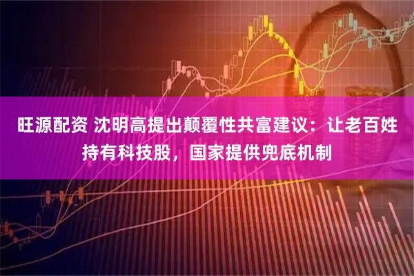 旺源配资 沈明高提出颠覆性共富建议：让老百姓持有科技股，国家提供兜底机制